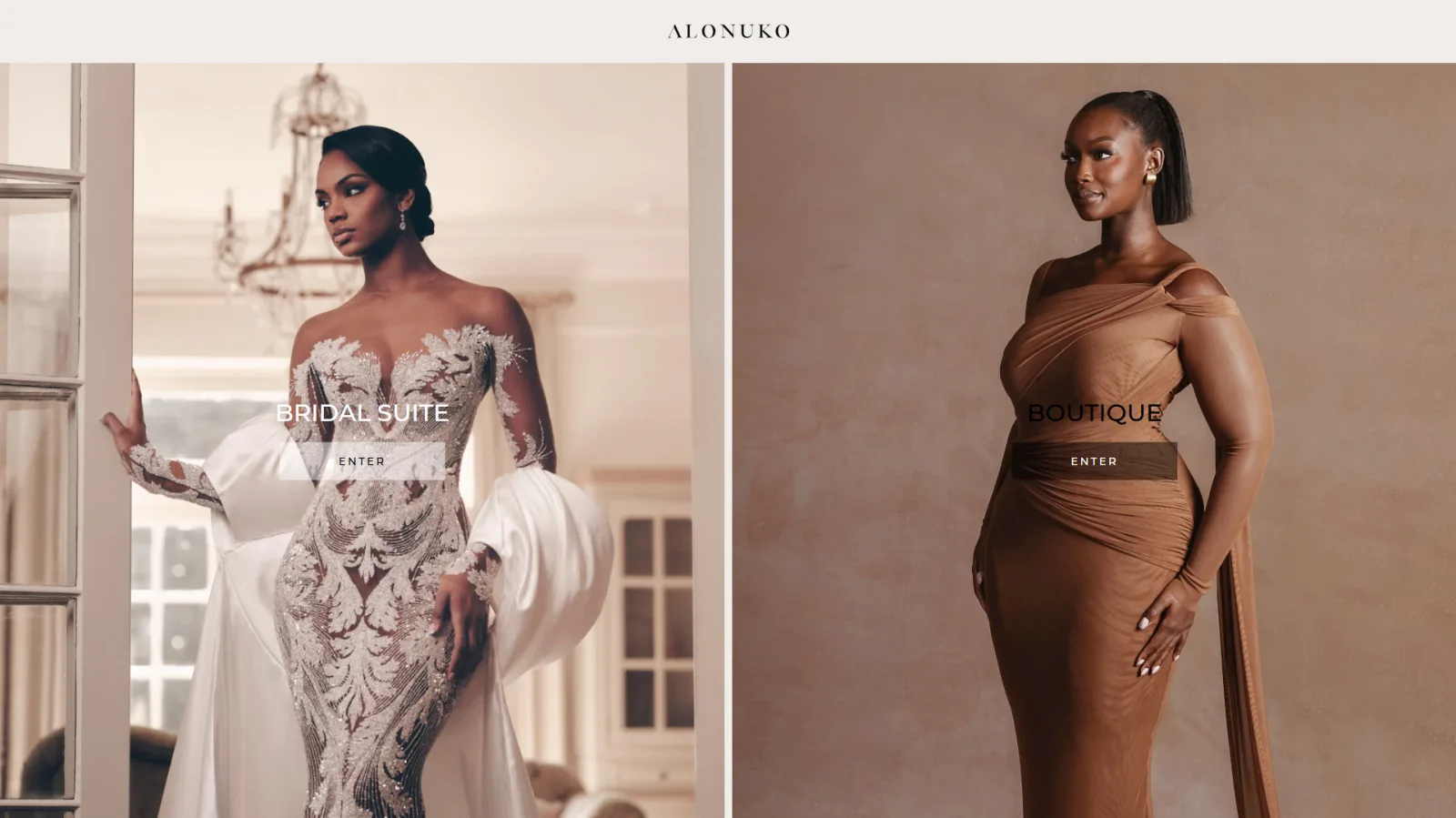 Shopify Agency - Portfolio Alonuko